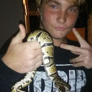 Meet your Posher, Dillon